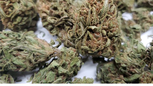 High-CBD-Hemp-Flower-2
