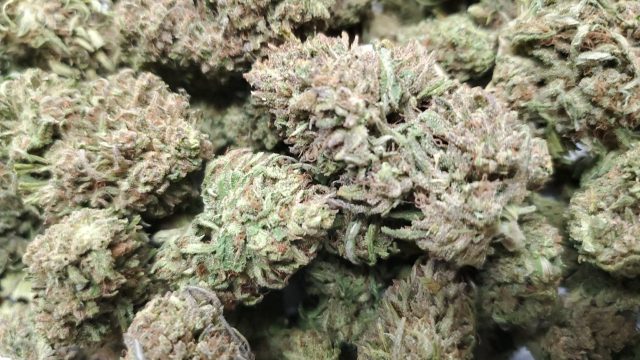 High-CBD-Hemp-Flower-3