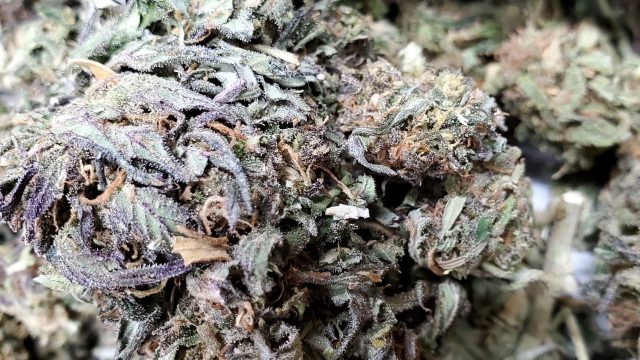High-CBD-Hemp-Flower