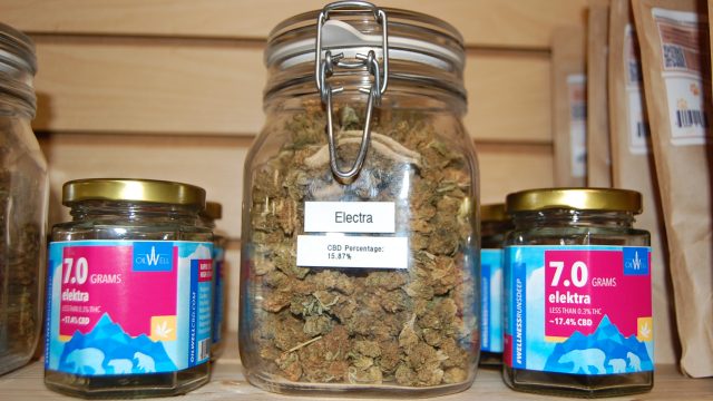 Hydroshack-Hydroponics-Hemp-CBD-Flower-2
